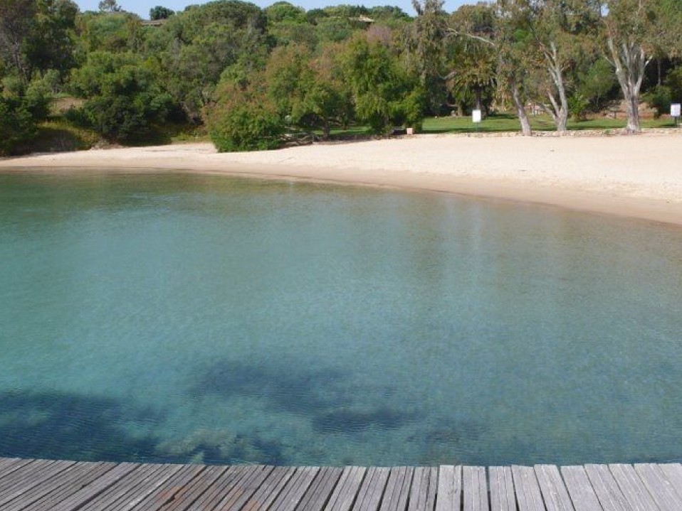 lago palau