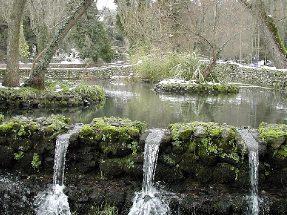 foresta san leonardo