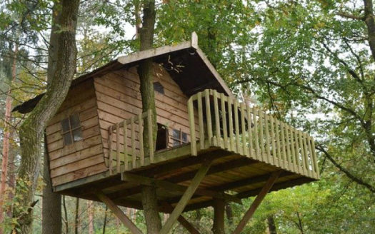 casa su alberi