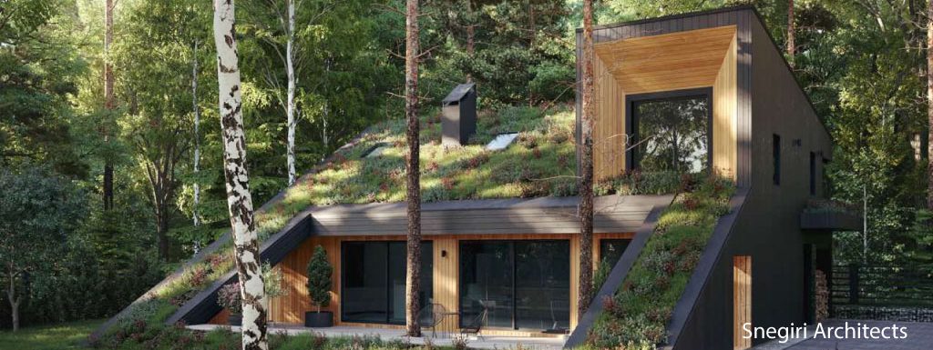 House-with-Green-Roof-in-Moscow